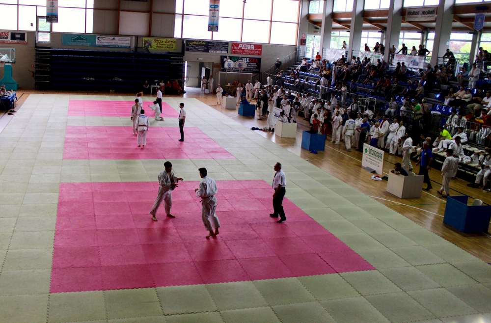 Giornata dedicata ai giovani judoka al Palasport di Giaveno